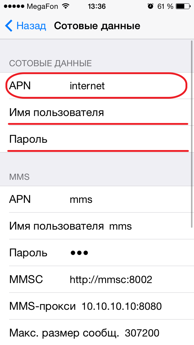 Настройки интернета на iphone