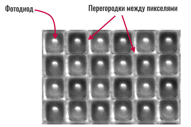 матрица под микроскопом