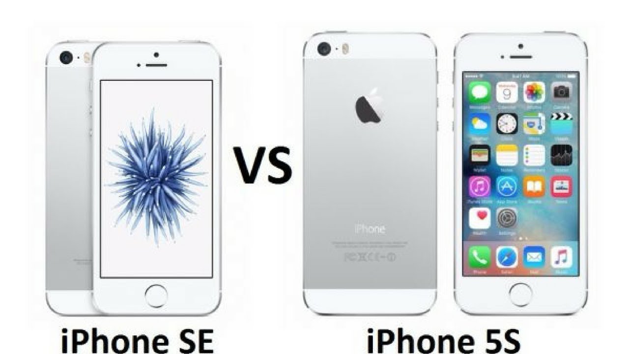 Сравнить айфон se. Айфон 5s и se. Iphone 5se. Iphone 5s Size. Айфон 5 и айфон 5se.