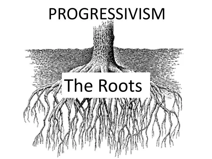 Roots do am