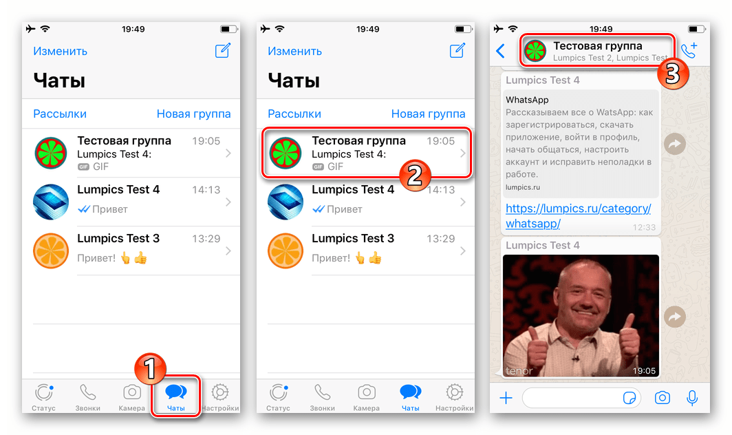 WhatsApp для iPhone вызов меню открытого диалога или группового чата
