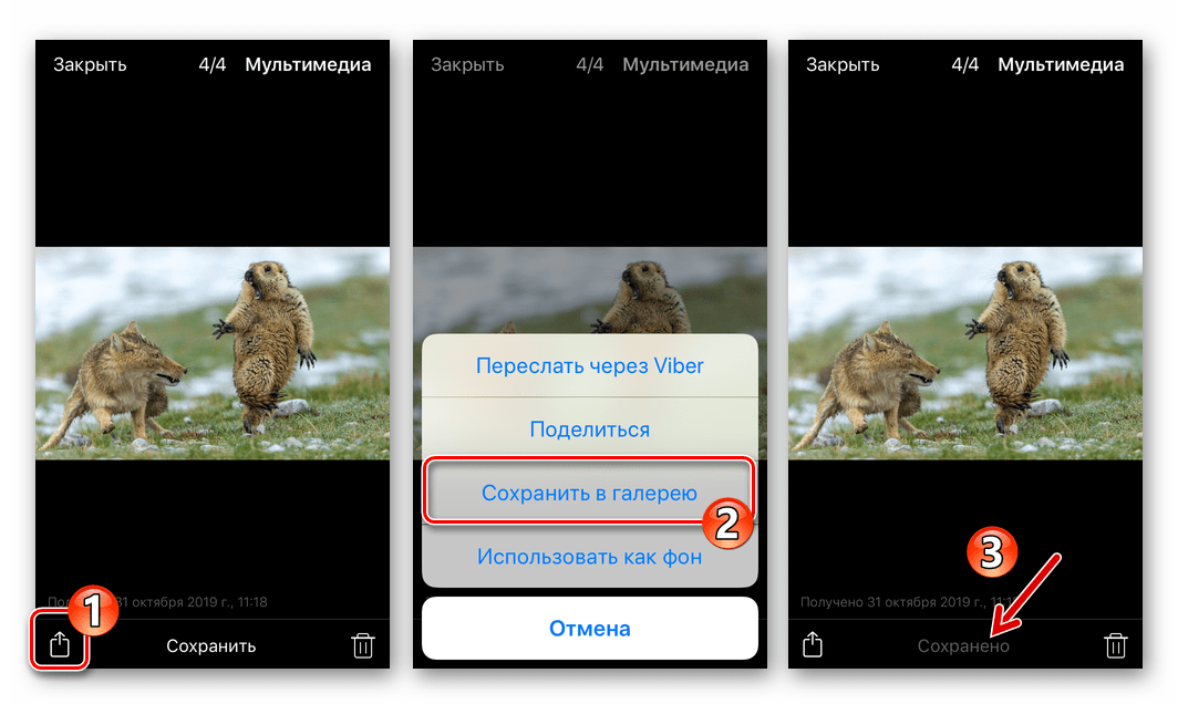 Viber для iPhone - копирование фото из мессенджера через меню Поделиться