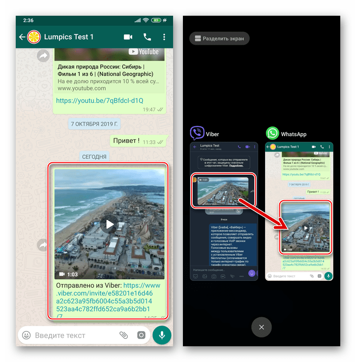 Viber для Android результат пересылки видео или фото из чата в мессенджере в другой сервис либо приложение