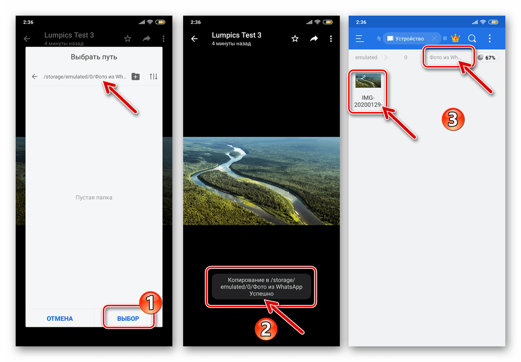 WhatsApp для Android копирование фото из мессенджера в папку в хранилище смартфона успешно завершено