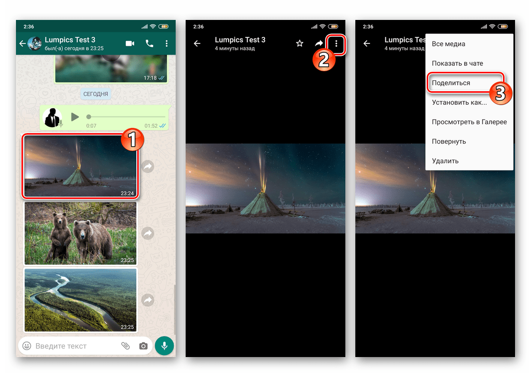 WhatsApp для Android вызов функции Поделиться из режима полноэкранного просмотра фото