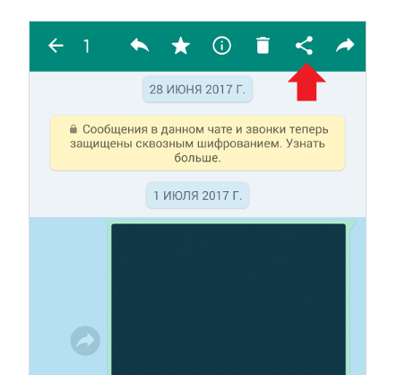 Как отправить файл с (на) почты на (из) Whatsapp