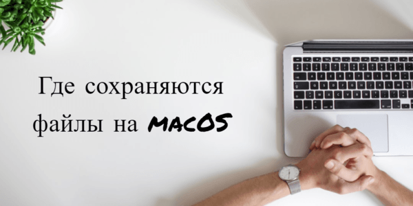 где сохраняются картинки на telegram macos - картинка